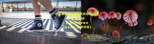 apvp Михайловка