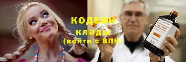 индика Мурманск