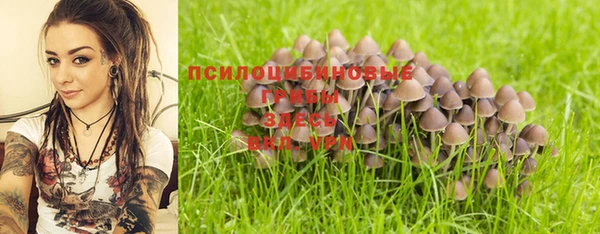 apvp Михайловка