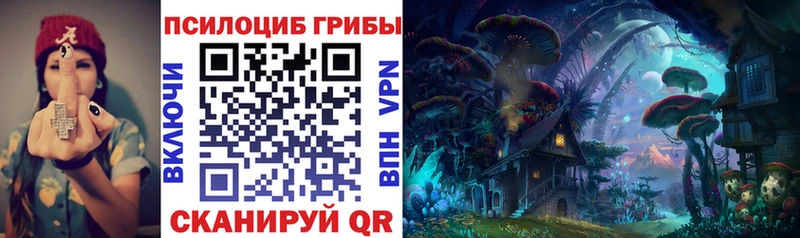 Псилоцибиновые грибы ЛСД  продажа наркотиков  Южа 